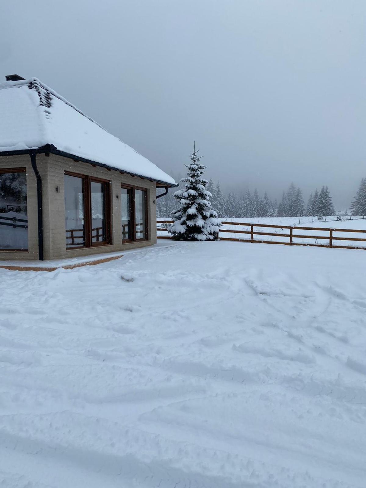 Вилла Vikendica Krlic Митровац Экстерьер фото